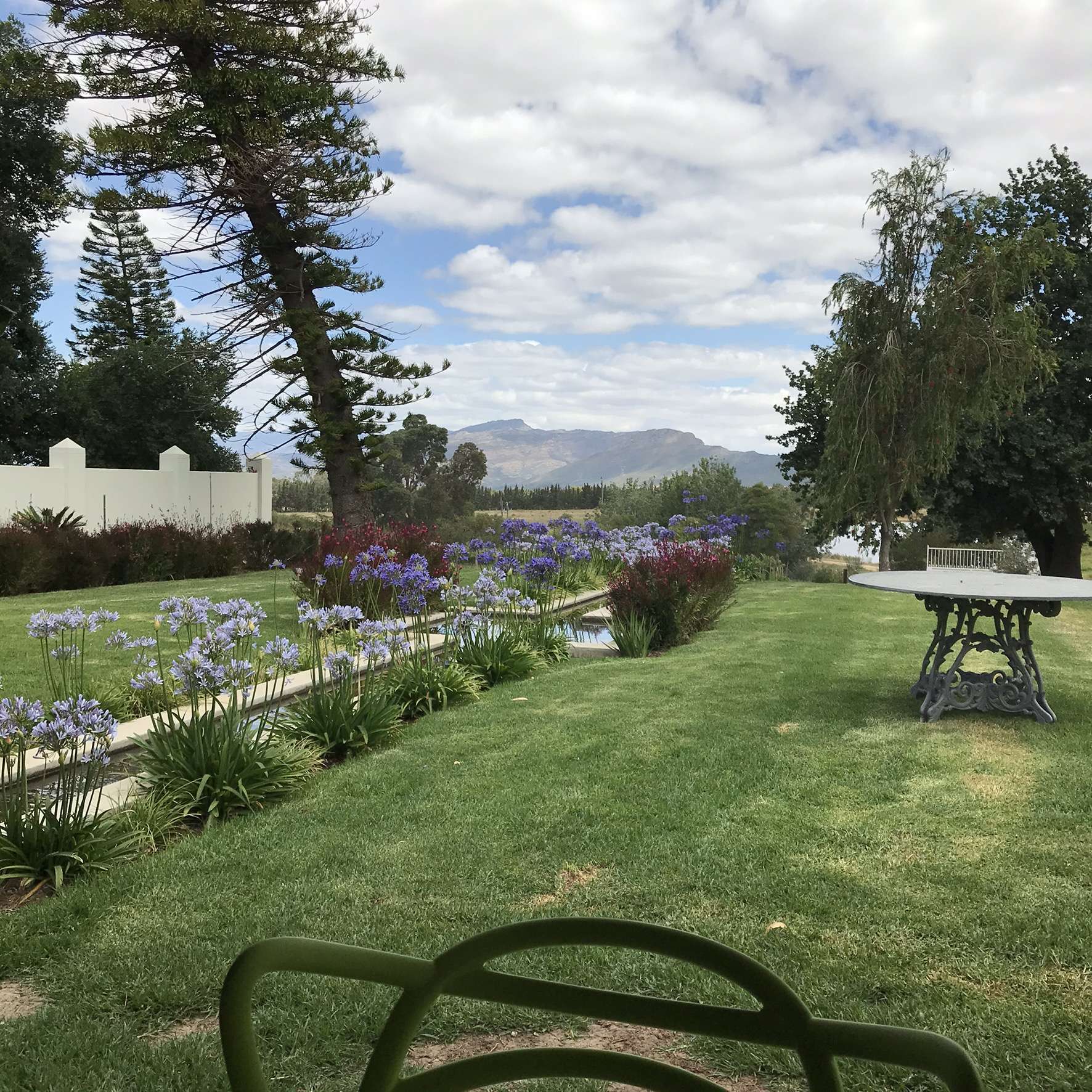 glass of wine blog south africa cape town