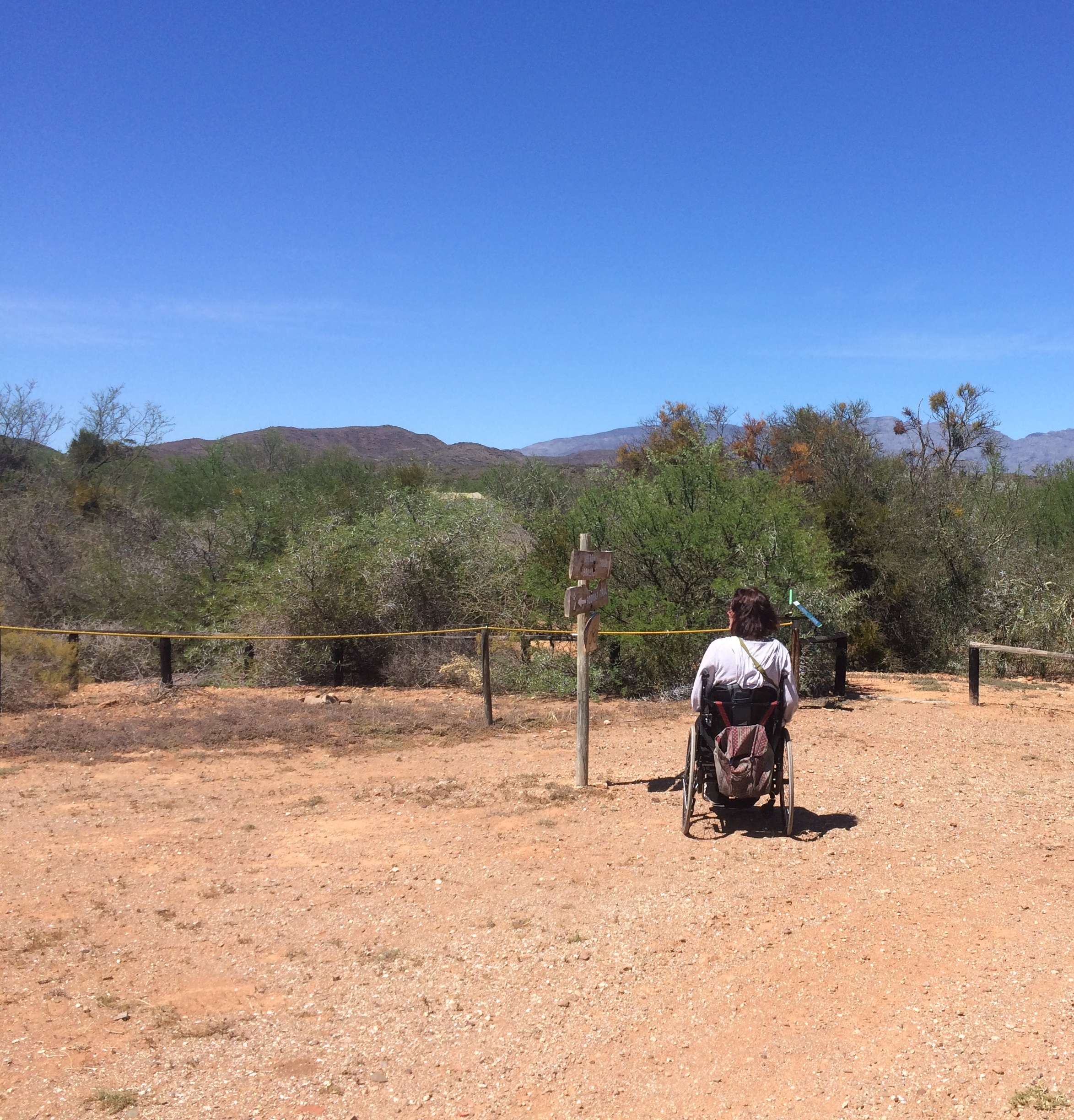 donkey noses and vrolijkheid ness