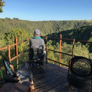 briony south africa tree tops