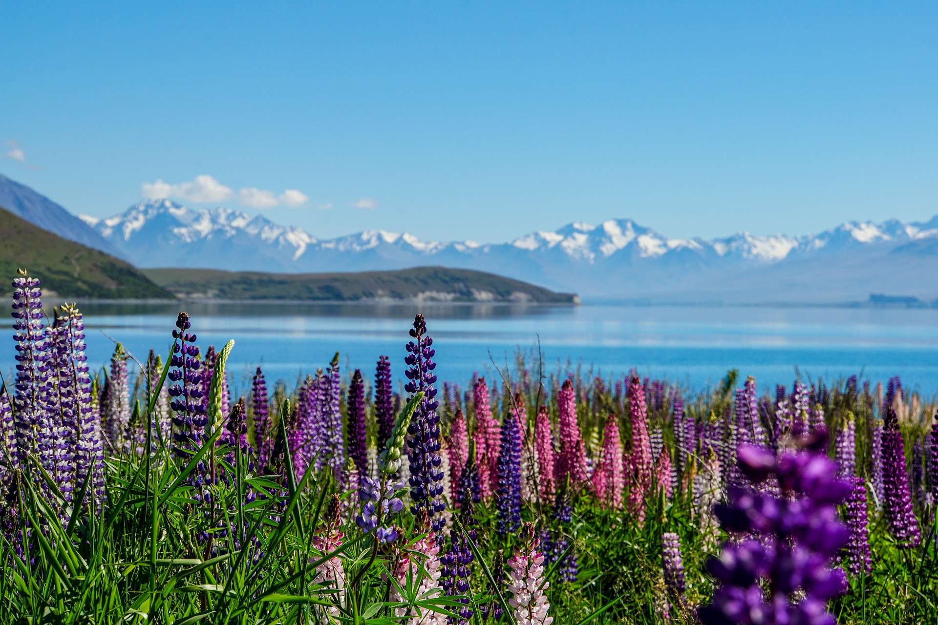 new zealand blog koloko travel